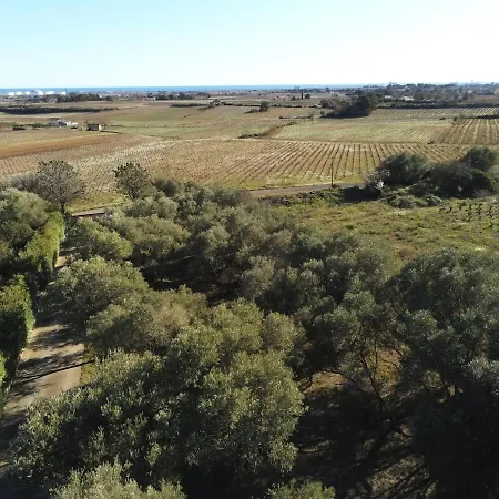 Mas St Pierre En Plein Coeur Des Vignes De Muscat Vue Et Mont St Clair 别墅 *
